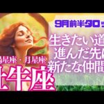 【♉牡牛座さん💖9月前半運勢】〈変化のとき‼そのための準備が始まる‼パワーを蓄えて生きたい道に進みましょう！〉 タロットリーディング　おうし座 太陽星座・月星座