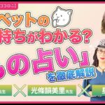 【超衝撃】ペットや大切な物の気持ちがわかる？！それって霊視？「モノ占い」で気持ちを占ってみた🔮