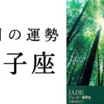 【双子座🌼8月の運勢】こんな展開見たことない😳✨全ふたご座にエールよ届け📣✨2024年タロット占い