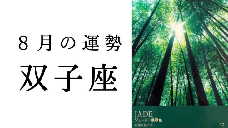 【双子座🌼8月の運勢】こんな展開見たことない😳✨全ふたご座にエールよ届け📣✨2024年タロット占い