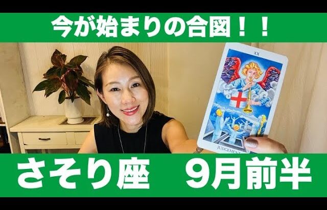 さそり座♏️9月前半🔮今が始まりの合図！動かなきゃもったいない！迷わず恐れず、刺激を感じて進もう！