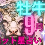 ［9月前半お牛座タロット星占い］おうし座さん絶対見てください！🌈幸せに向かう安定した歩みが見えました、さすが優しさのエネルギーが導いた