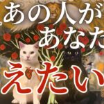 今あの人があなたに伝えたい事💌今後を踏まえたお相手様の本気度が盛り込まれております✨［占い/タロット/ルノルマン/オラクルカード/恋愛］