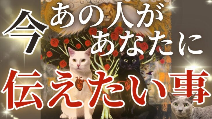 今あの人があなたに伝えたい事💌今後を踏まえたお相手様の本気度が盛り込まれております✨［占い/タロット/ルノルマン/オラクルカード/恋愛］