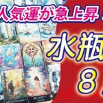 【水瓶座2024年8月の運勢】今こそ重荷をおろして、軽やかな新しい一歩を踏み出す時！楽しいことを優先して下さい！⭐️タロットオラクルリーディング🌙グランタブロー🌈