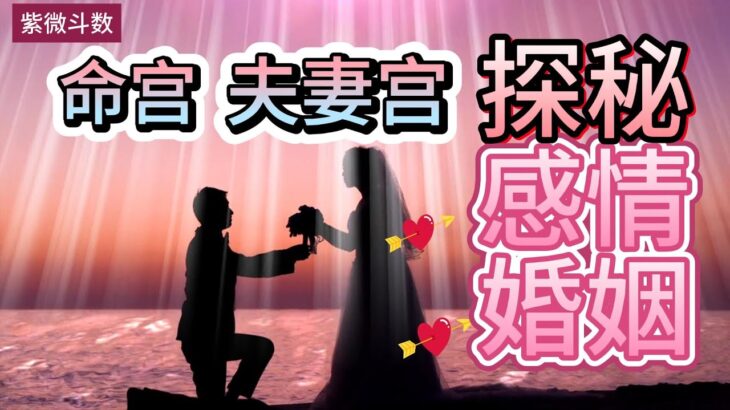 紫微斗数分享| 命宫夫妻宫探秘感情和婚姻状态| 夫妻宫飞化宫位的喜忌|Ziwei Dou Shu| Love and Marriage| #紫微斗数#夫妻宫