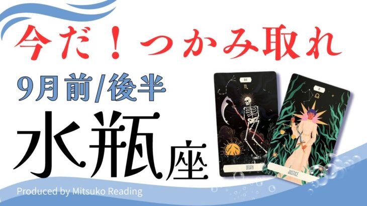 水瓶座9月【挑戦】チャンスをつかみ取る❗️すべて大丈夫❗️前半後半仕事恋愛人間関係♒️【脱力系タロット占い】