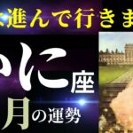 【蟹座8月】今の蟹座は最高にカッコいい✨自分のやりたいことに突き進んでいけるとき（タロット＆オラクルカードリーディング）