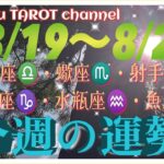 どうなる⁉️【8/19〜8/24週間リーディング】天秤座♎️蠍座♏️射手座♐️山羊座♑️水瓶座♒️魚座♓️#2024 #星座別 #タロット占い