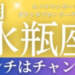 2024年8月【水瓶座】起こること～ピンチはチャンス！～【恐ろしいほど当たるルノルマンカードリーディング＆アストロダイス】