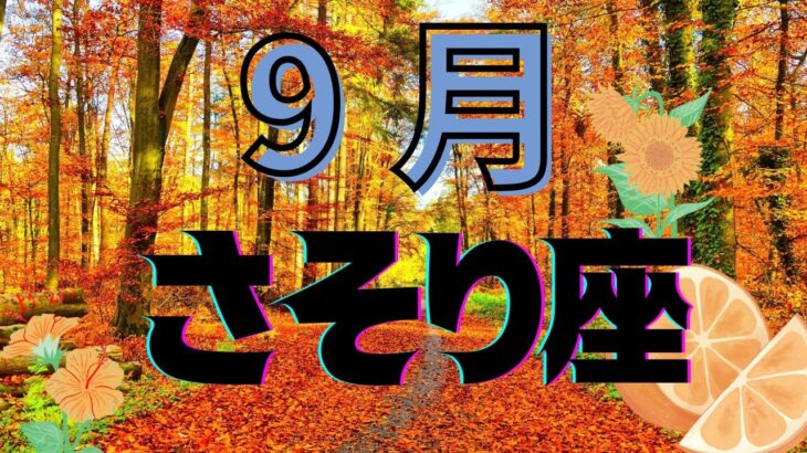 2024年9月 蠍座さん　空気感