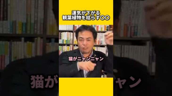 運気が下がる観葉植物を枯らす〇〇#風水 #金運 #金運アップ #建築 #八納啓創