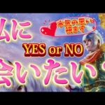 【YES or NO】条件付きの答えもあり。あの人は私に会いたいと思ってる？💗本気の思い❣️個人鑑定級　透視タロット占い