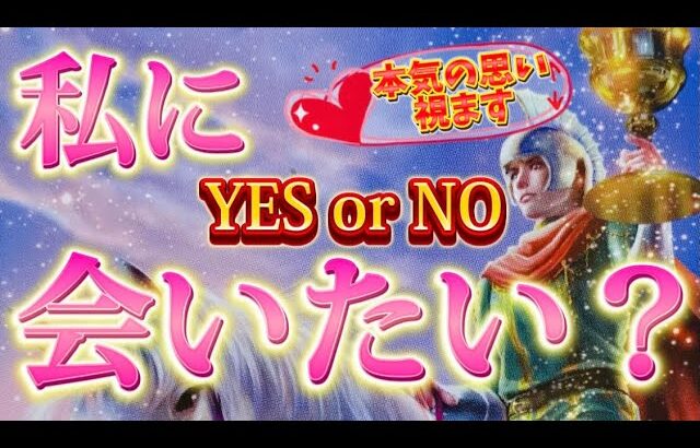 【YES or NO】条件付きの答えもあり。あの人は私に会いたいと思ってる？💗本気の思い❣️個人鑑定級　透視タロット占い