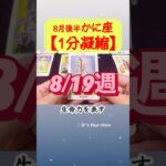 蟹座♋️ 8月後半【1分凝縮版】→全編動画へはこの上、▶︎のリンクから🧚 #タロット占い #運勢 #星座 #恋愛運 #仕事運 #8月 #tarot #かに座