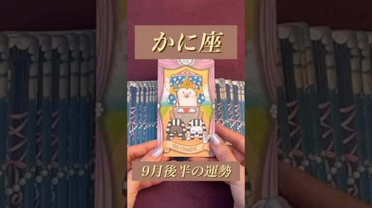 【かに座】2024年9月後半の運勢★ダイジェスト〜自分の心に従って決断すると応援が入り加速していく‼️