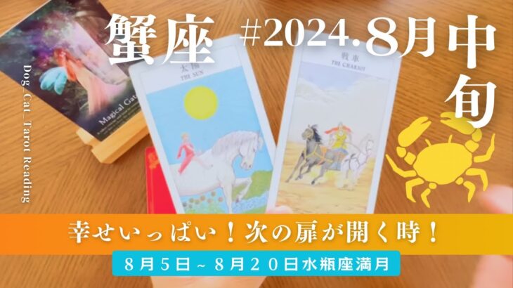 蟹座さん♋️8月中旬の運勢　エネルギーを勢いへ変える夏☀️