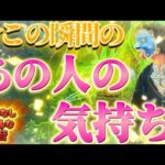 【⚠️厳しめ結果あり】あの人の気持ち🩷熱量・未来の可能性　忖度なしのリアルな本音を透視リーディング✨個人鑑定級　タロット占い