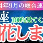 【蠍座】2024年9月さそり座の総合運！蠍座の幸せな未来へと進む方法