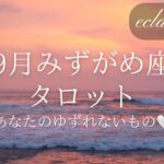 【みずがめ座さん】9月✨前向きリーディング‼︎今のありのままのあなたで合ってるんだよ✨