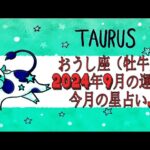 おうし座（牡牛座）2024年9月の運勢｜今月の星占い.