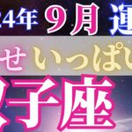 人気運も高まってイキイキ過ごせる【9月双子座の運勢】豊かさを手に入れる後押し