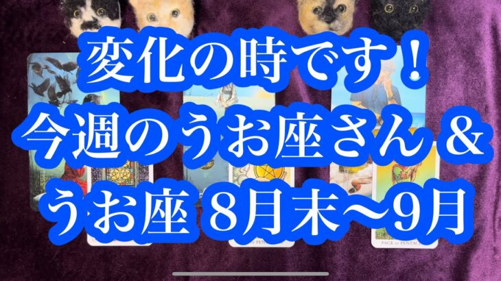 人生が動く！金運アップ！恋愛も動く！今週のうお座さん & 8月末〜9月のうお座さん！