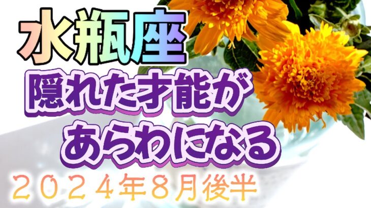 【みずがめ座の８月後半】サックリ占うよ🌟金運💰仕事運👨‍✈️恋愛運💕あなたのテーマ（３択式）&ラッキーナンバー🍀