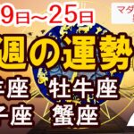 【今週の運勢8月19日から25日】牡羊座 牡牛座 双子座 蟹座