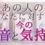 あの人のあなたに対する本音と気持ち 【恋愛・タロット・オラクル・占い】