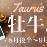 おうし座♉️2024年8月後半〜9月前半🌝 すごい！！揃い過ぎ！近々来る嘘みたいな応援！停滞はサプライズの前触れ、驚きの豊かさ、女神は微笑む