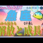 トントン拍子にことが進む🚥魚座♓️さん【水瓶座満月🌕〜あなたに起きる解放と成長】#2024 #星座別 #タロット占い