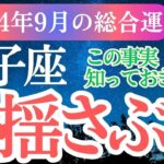 【双子座】 2024年9月ふたご座の運勢。星とタロットで双子座を読み解く未来