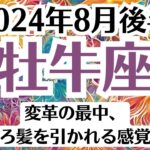 💓牡牛座♉8月後半タロットリーディング│全体運・恋愛・仕事・人間関係