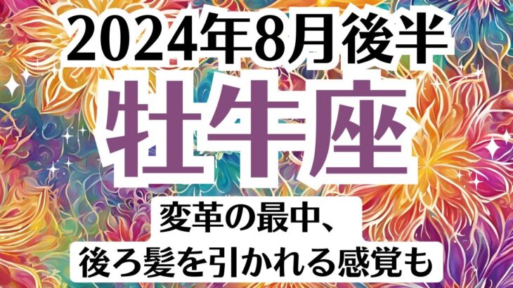 💓牡牛座♉8月後半タロットリーディング│全体運・恋愛・仕事・人間関係