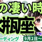 【水瓶座】♒️2024年9月2日の週♒️私の凄い時代がやってきた。大活躍の時。不安を乗り越え、未来をつかむ。タロットリーディング