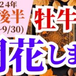 【牡牛座】2024年9月後半の運勢～開花します～