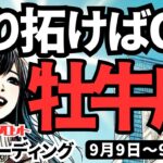 【牡牛座】♉️2024年9月9日の週♉️要注意の一週間。弱った心に入ってくる人はシャットアウト。自ら切り拓いていくと運気上昇。タロットリーディング