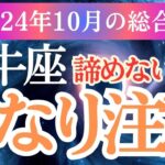 【牡牛座】2024年10月おうし座の成長と幸運への道✨牡牛座の タロットと星で見る！