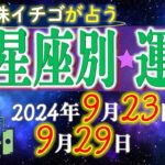 ★忖度なし★2024年9月23日〜9月29日の星座別の運勢★運気を上げるアドバイスつき★