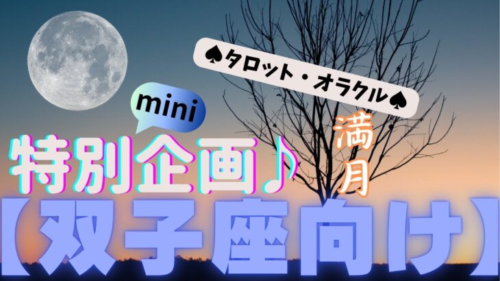 🙏💫【ふたご座♊さん】特別企画♪🔮✨《満月リーディング》✨⭕見た時がタイミング♠タロットカードリーディング♥オラクルカードリーディングもあり😀💫双子座運勢