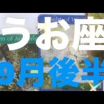 うお座✨9月後半🌈止まっていたものが動き出す🎉楽しい日々🫧#うお座 #恋愛 #タロット占いうお座 #タロット占い魚座 #tarot #タロット恋愛 #タロットリーディング
