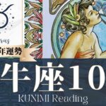 牡牛座♉10月運勢✨ビジネス絶好調！新しい恋の予感も📕現状📕仕事運📕恋愛・結婚運📕ラッキーカラー📕開運アドバイス🌝月星座おひつじ座さんも🌟タロットルノルマンオラクルカード