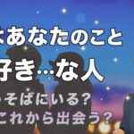 衝撃🫨実はあなたのことが好きな人🐣容姿、性格、お名前 特徴【男心タロット、細密リーディング、個人鑑定級に当たる占い】