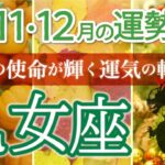 【運命が動く】乙女座♍️あなたの使命が輝きだす！4四半期リーディング🐉仕事運,人間関係運,恋愛運,金運,財運,家庭運,事業運,全体運［タロット/オラクル/ルノルマン/風水］