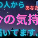 隠された想いがありました🥹💗今！の大本音。恋愛タロット占い ルノルマン オラクルカード細密リーディング