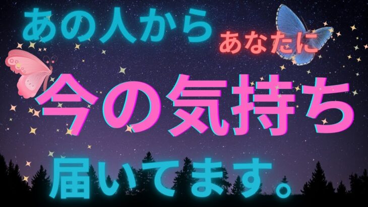 隠された想いがありました🥹💗今！の大本音。恋愛タロット占い ルノルマン オラクルカード細密リーディング