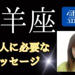 山羊座♑️霊視【見た人に必要なこと】