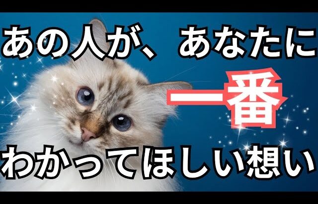 私が代弁します！あの人があなたに一番わかってほしい想い❤️‍🔥恋愛タロット占い ルノルマン オラクルカード 個人鑑定級に深掘り 細密リーディング