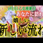 【超鳥肌級❗️】9月3日乙女座新月🌚✨あなたに訪れる嬉しい新しい流れ🌈✨個人鑑定級タロット占い🔮✨